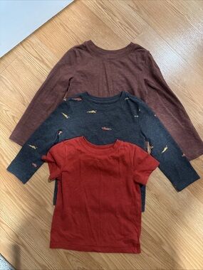 Kids' 3-Pack Crewneck Tops - Rust, Charcoal with Print, Brown…258
